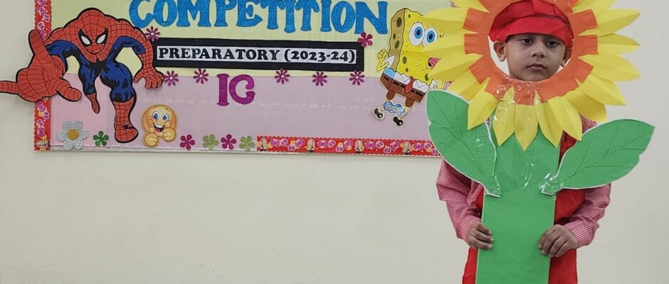 Fancy Dress (Prep-IG) (16)