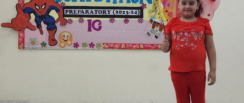 Fancy Dress (Prep-IG) (2)