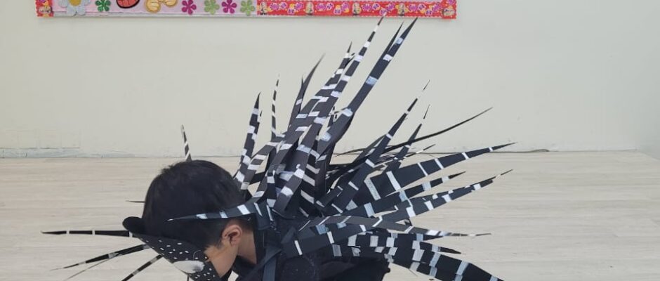 Fancy Dress (Prep-IG) (6)