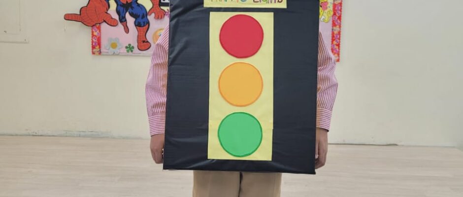 Fancy Dress (Prep-IG) (7)