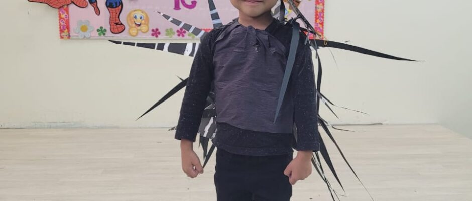 Fancy Dress (Prep-IG) (9)